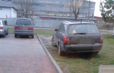 Mistrz Parkowania w Ustce - ustka24.info