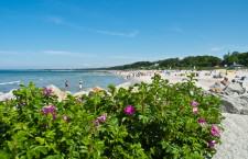 #szerokaplazaustka - usteckie, szerokie i czyste plaże - ustka24.info