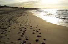 #szerokaplazaustka - usteckie, szerokie i czyste plaże - ustka24.info