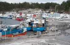 Zniszczenia po sztormie "Alex" - ustka24.info