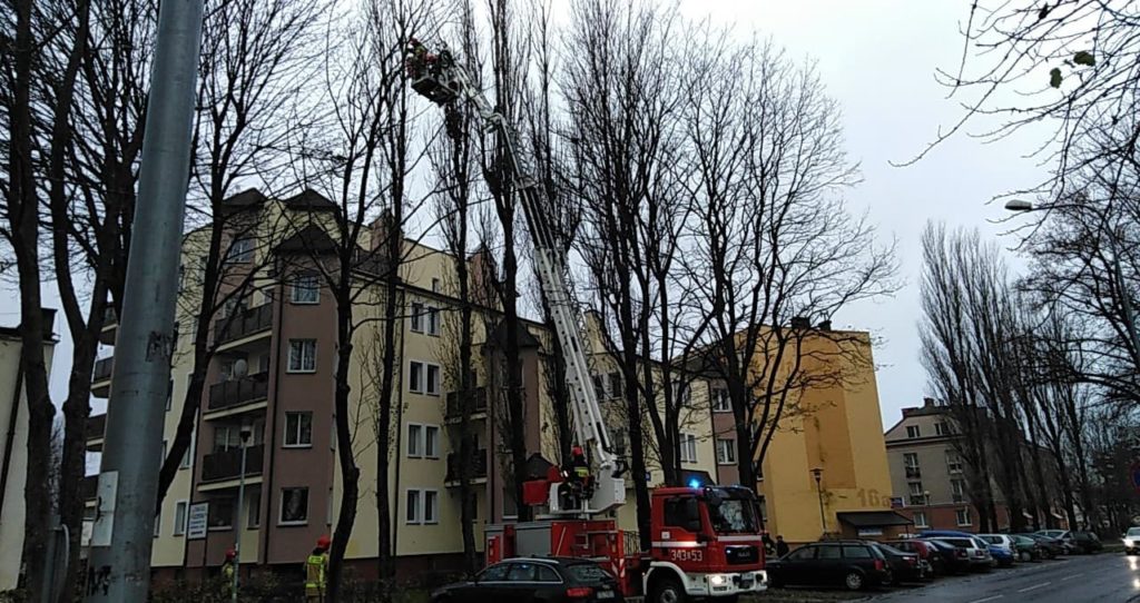 Silny wiatr łamie drzewa w centrum Ustki. Ostrzeżenie przed sztormem - ustka24.info
